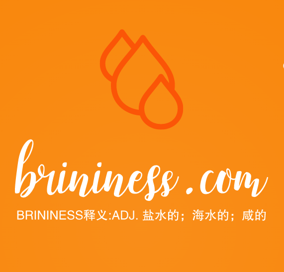 推荐一个英文单词域名brininess.com